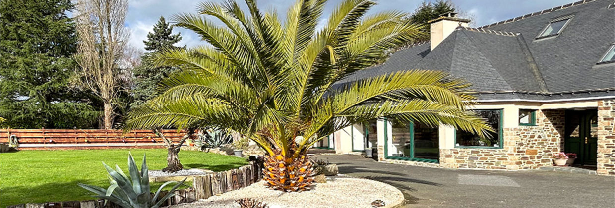 acheter-maison-piscine-jardin-lanvollon-immobilier-prestige-luxe-26