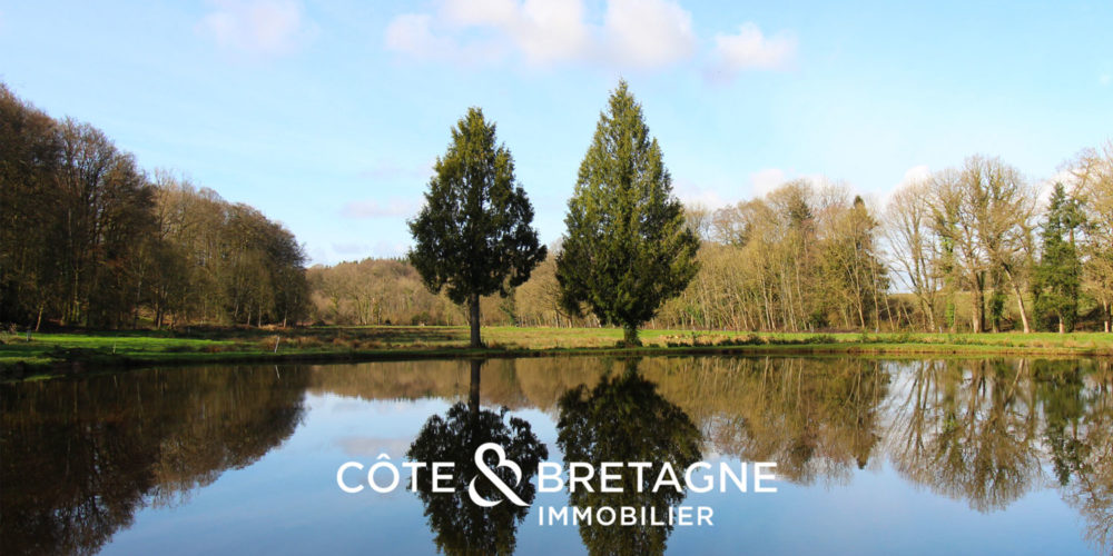 chateau-bretagne-immobilier-prestige-2