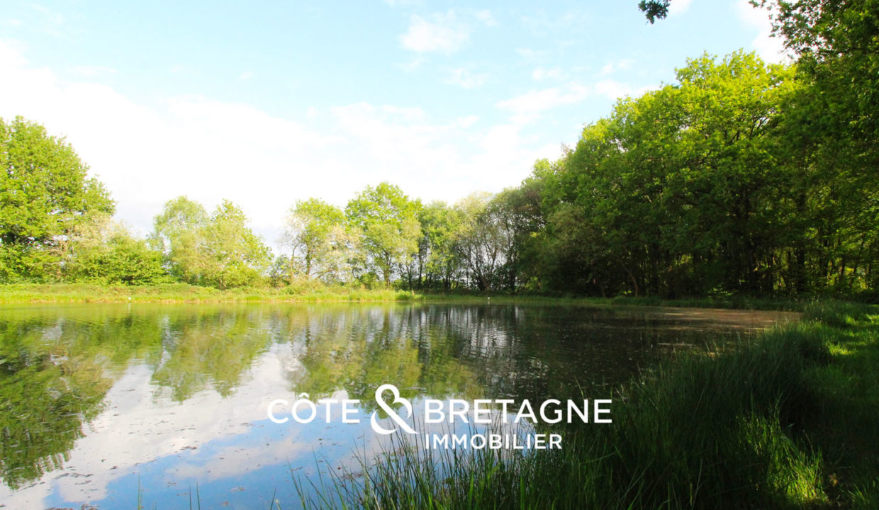 étang-bretagne-parc-1