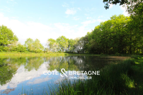 étang-bretagne-parc-1