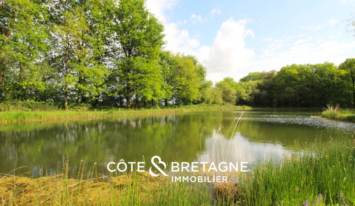 étang-bretagne-parc