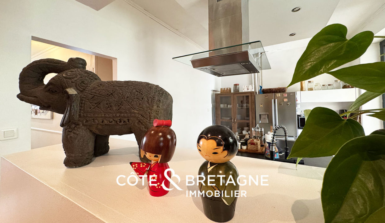 Maison-acheter-vendre-Saint-Brieuc-quartier-Saint-Michel.-Jardin-garage-1