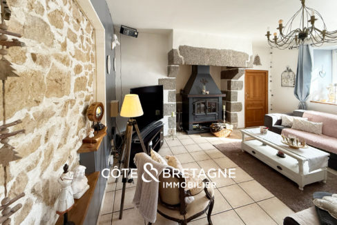 maison-bretagne-pluzunet-salon