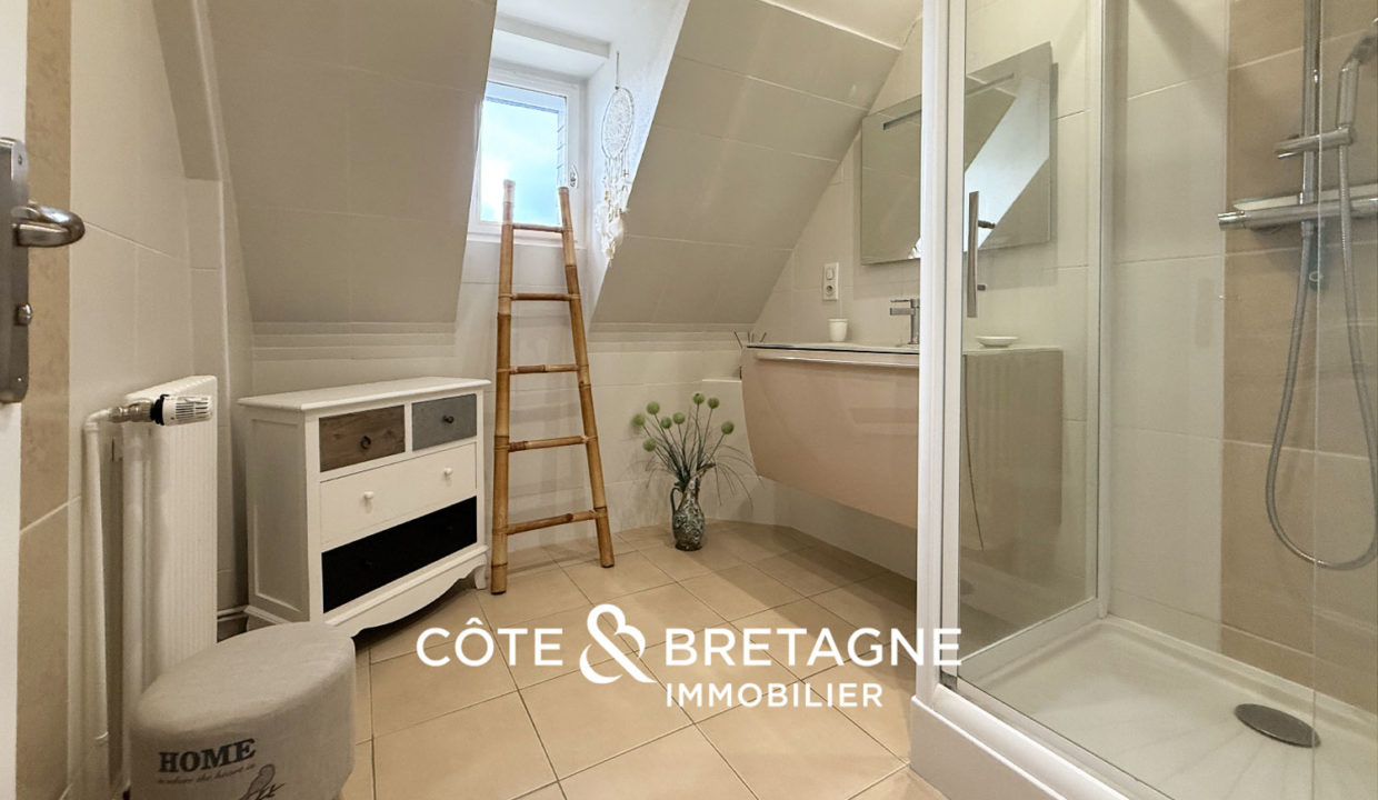 Propriete-familiale-yffiniac-jardin-piscine-pieces-spacieuses-salle-deau-16