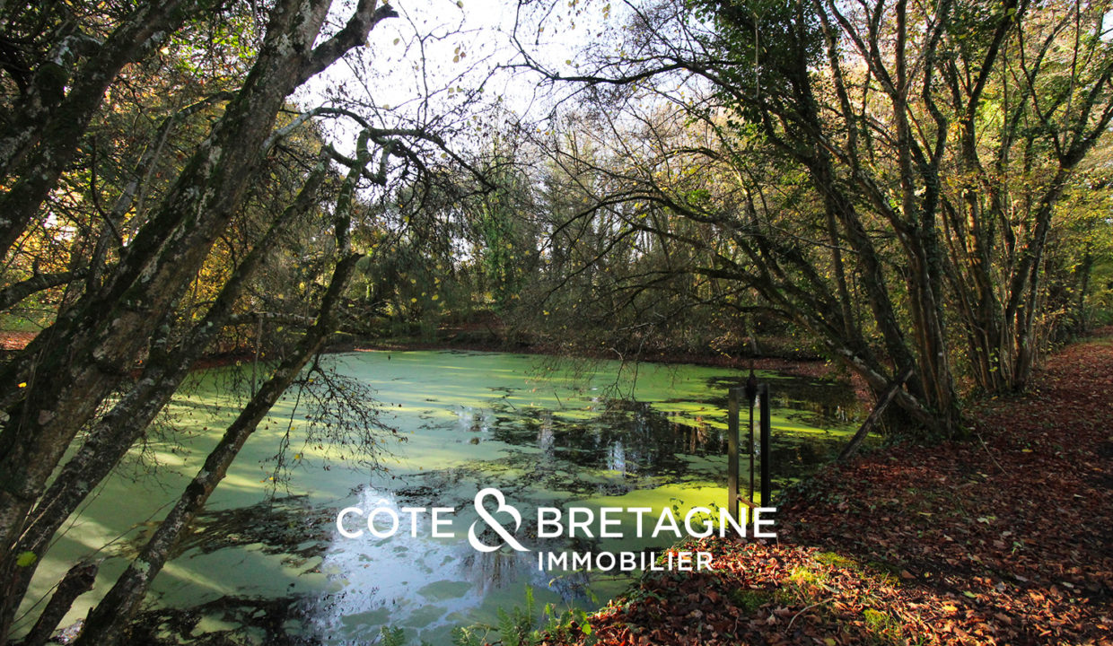 chateau-manoir-luxe-prestige-pierre-bretagne-8