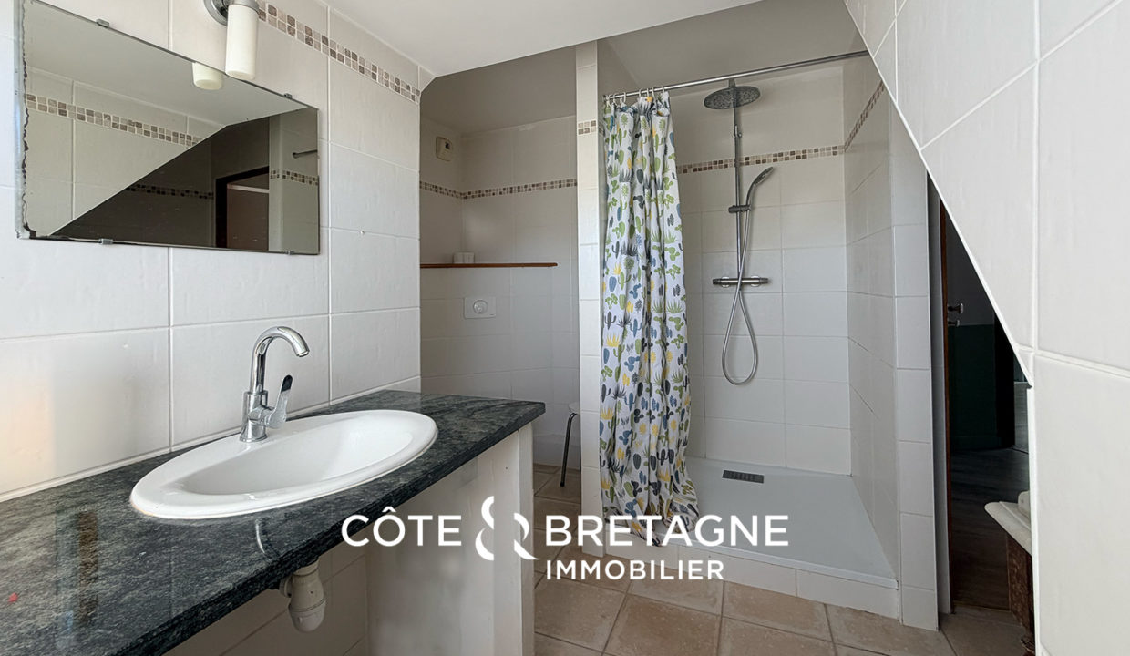 maison-saint-brieuc-jardin-5-chambres-5