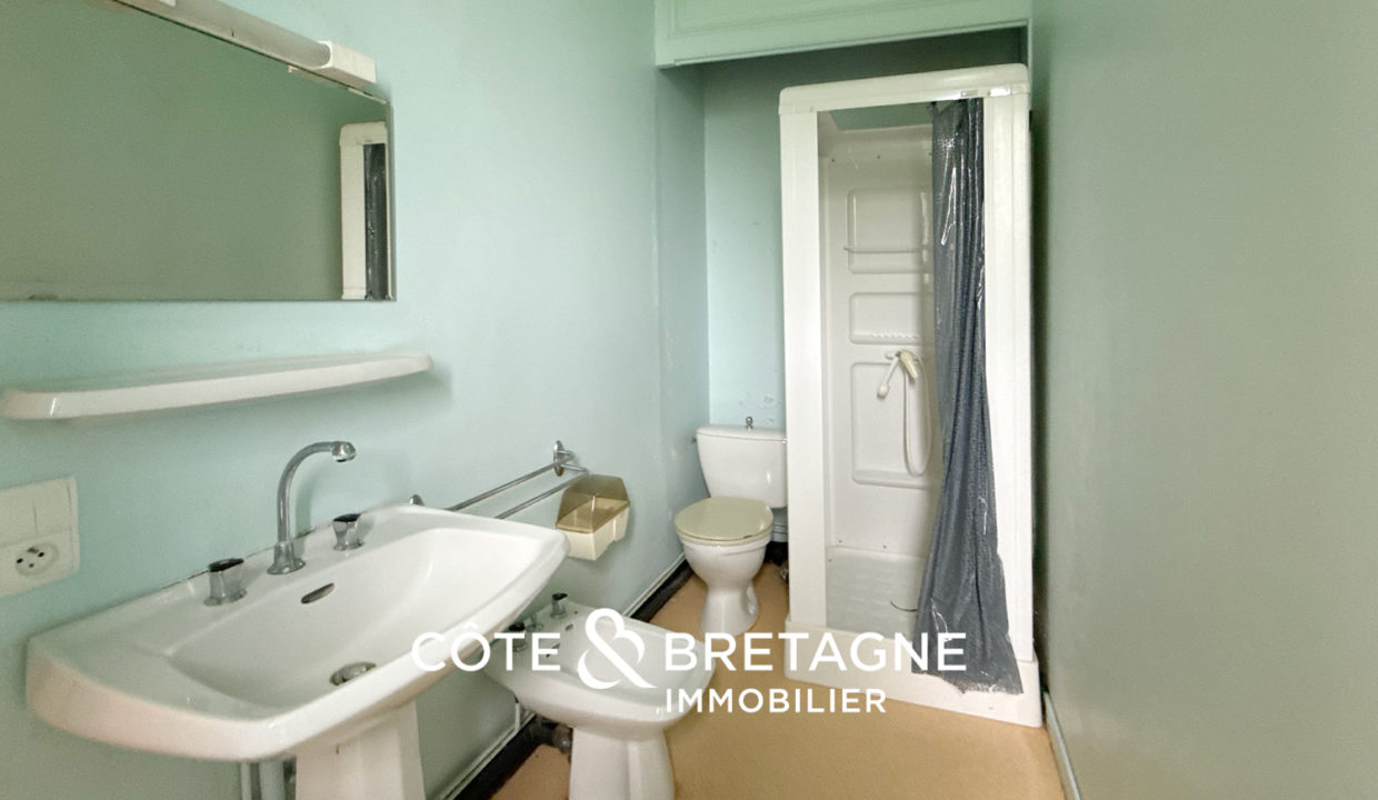 maison-bourgeoise-a-vendre-ploeuc-l-hermitage-37