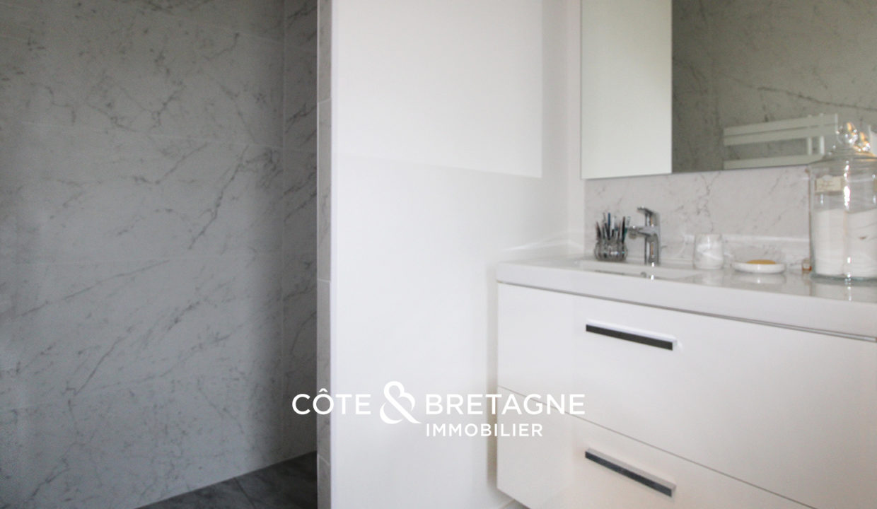 Acheter à Theix-Noyalo maison d'architecte avec vue sur le marais salle d'eau